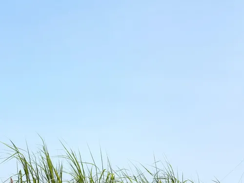 Signs That You Need an Immediate Restoration Service
