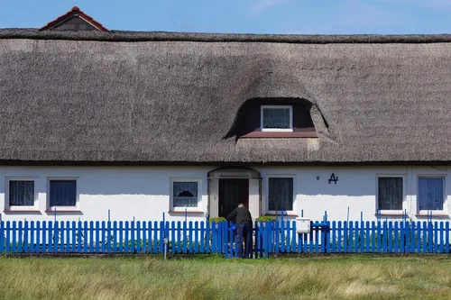 The Benefits and Drawbacks of Fence Materials