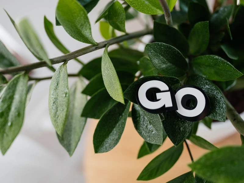 Eco-Friendly Businesses Ideas Every Business Owner Should Know